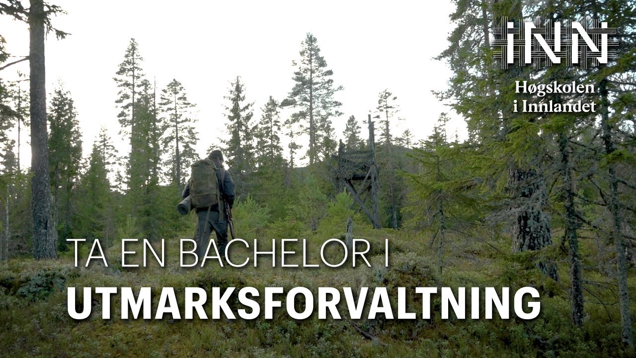 Ta en bachelor i utmarksforvaltning