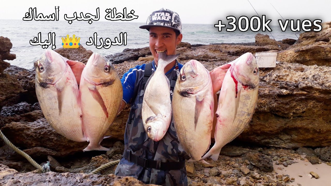 أفضل طريقة لإستهداف الدوراد الكبير فقط pêche dorade (pesca del orata con il granchio) @Amine Fishing