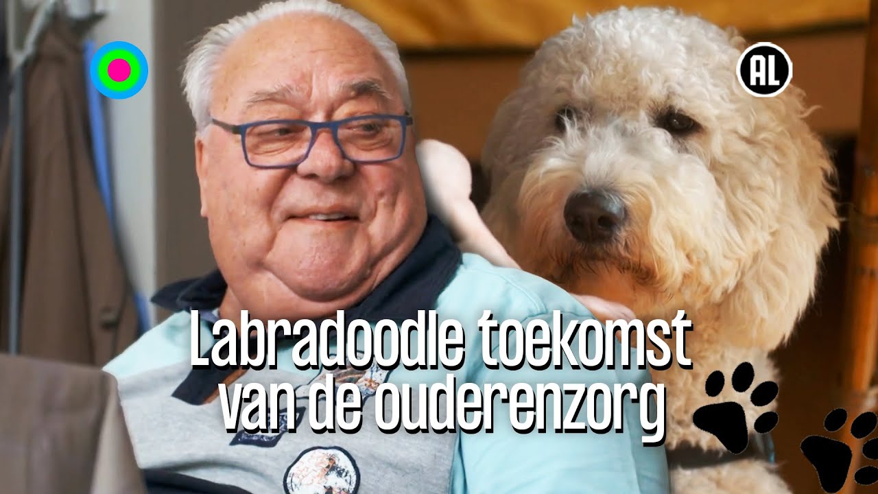 Honden dé oplossing voor huidhonger ouderen | Kruispunt | KRO-NCRV