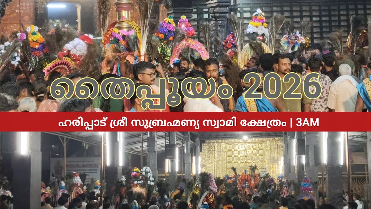 തൈപ്പൂയം 2026 | Haripad Sree Subrahmanya Swamy Temple | 3AM