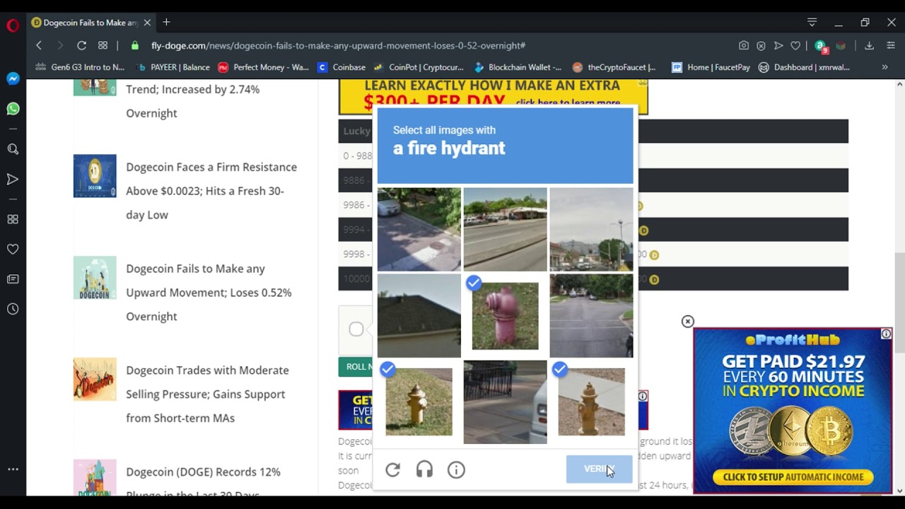 Create account Fly-Doge Earn money free