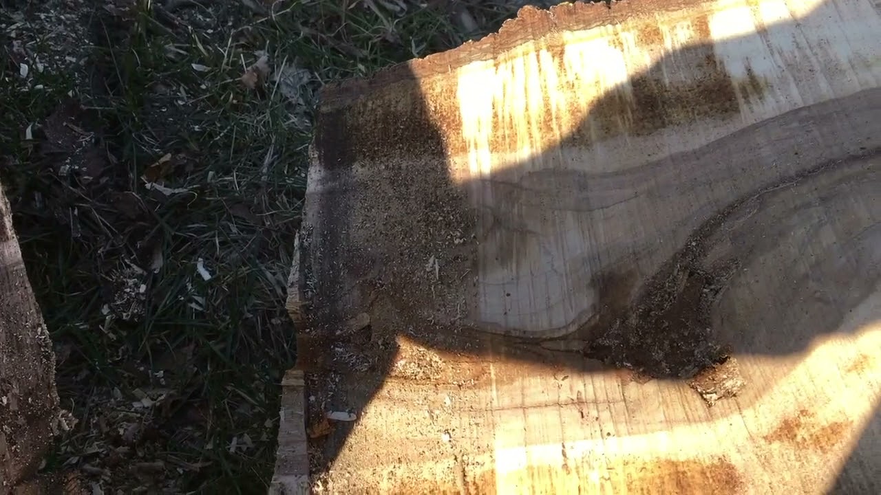 Bad Pruning Causes Tree Rot