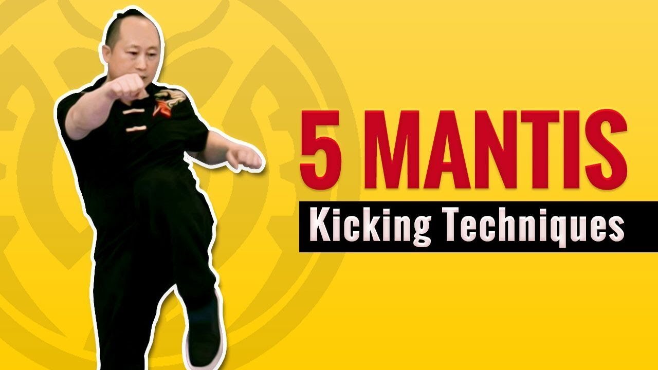 Top 5 Kung Fu Kicking Techniques for Praying Mantis
