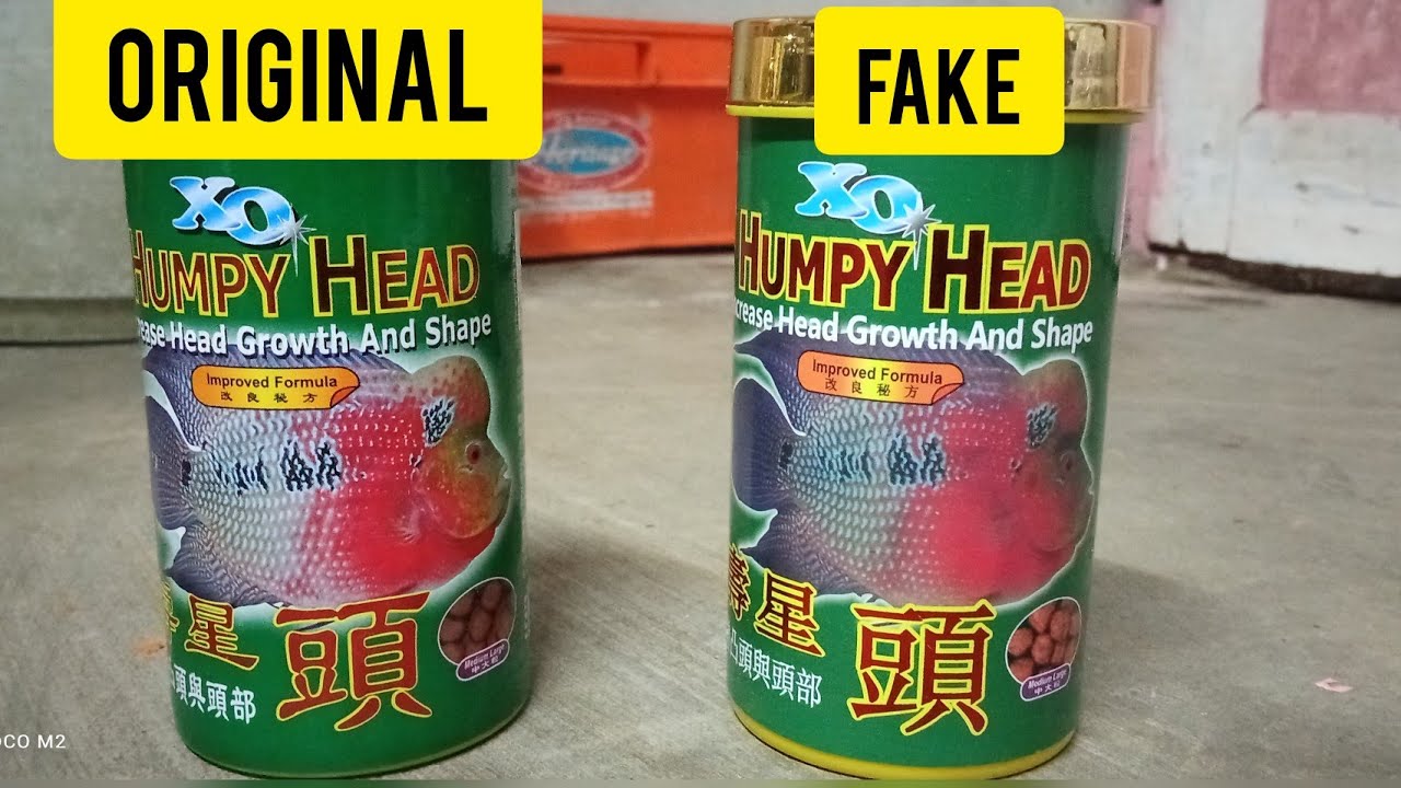 How to check Xo Humpy Head food Orginal or Fake in bala sk aquarium
