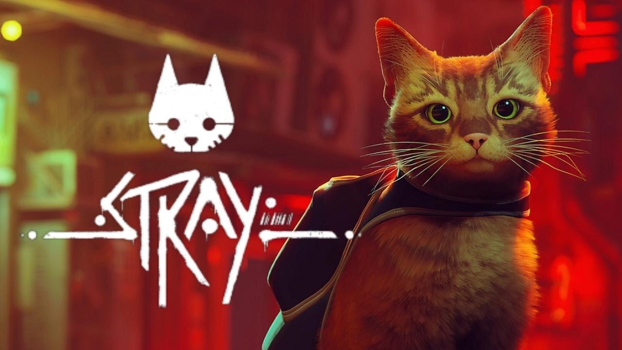 俺、猫になってもいいっすか？？  【Stray #1】