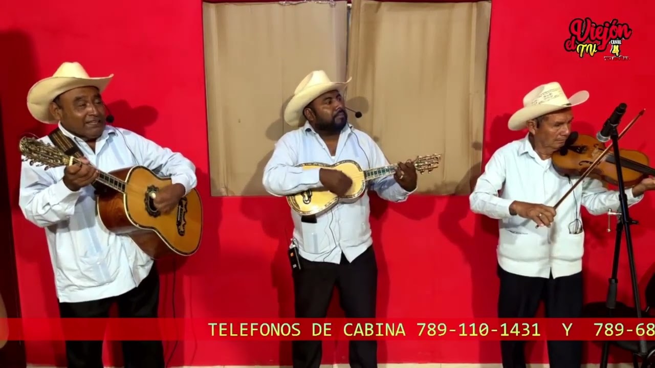 Huapango La Leva      [Trio Platonense]