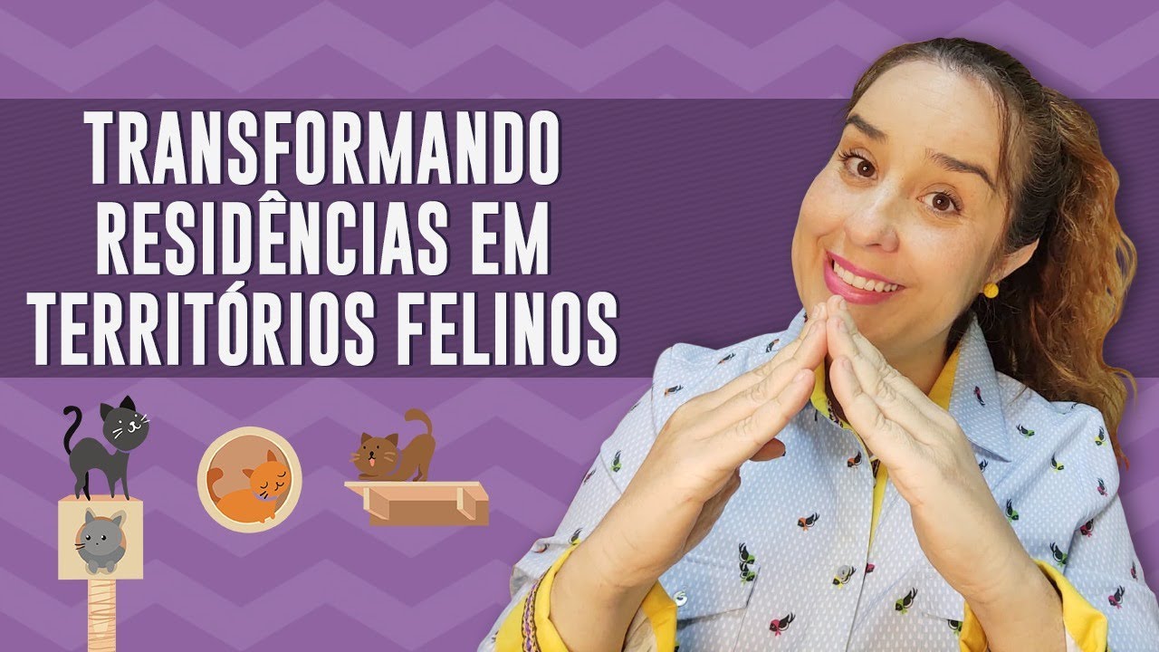 ENRIQUECIMENTO AMBIENTAL PARA GATOS