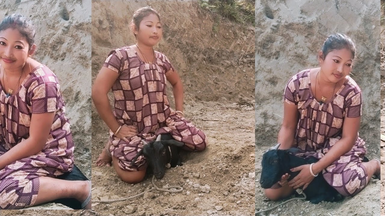 Goat sitting nighty || goat sitting village woman | sitting goat😍♥️