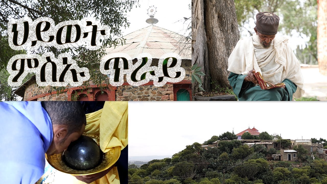 ወናኒ ክልተ ገዳማት ኣቡነ ብጹእ ኣምላክ gedam abune bxue amlak  #eritrean_documentary_2023  @datlove