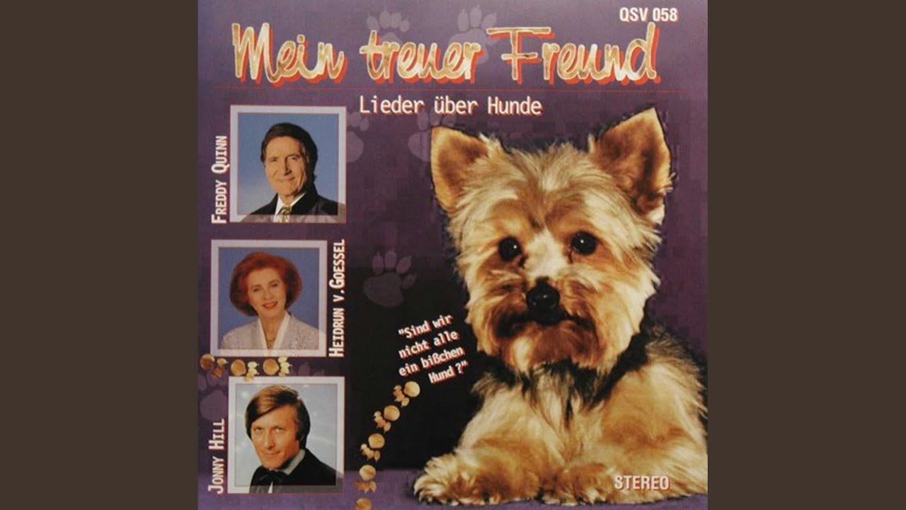 Mein Hund und ich