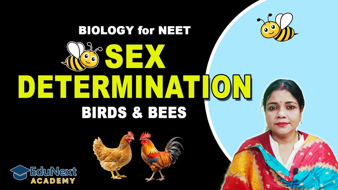 Sex Determination in Birds and Honey Bees | NEET Biology Concept