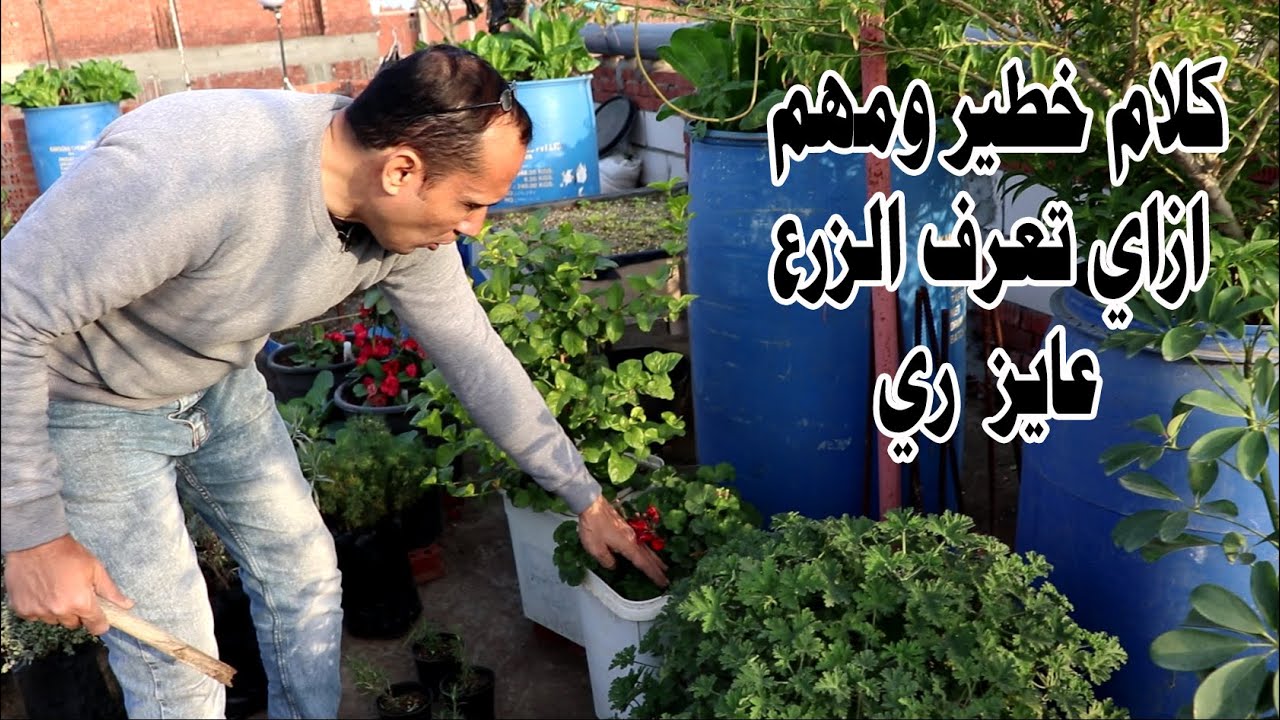 معلومات خطيرة ومهمة في كيفية ري زرعك لتجنب موت النبات لو عايز زرعك يعيش شاهد الحلقة