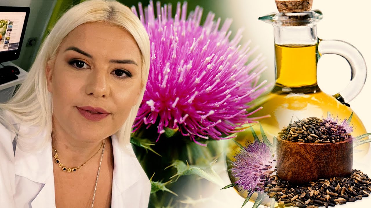 Vetitë çudibërëse të “Gjembit të Gomarit”! Ja sëmundjet që shëron…