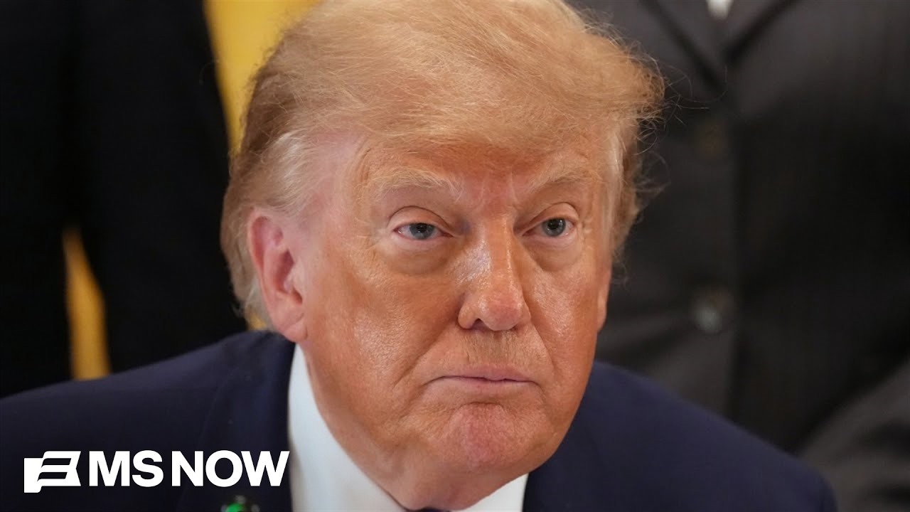 'Authoritarian state stuff': Dem strategist 'GOBSMACKED' by Trump using taxpayer money for ads