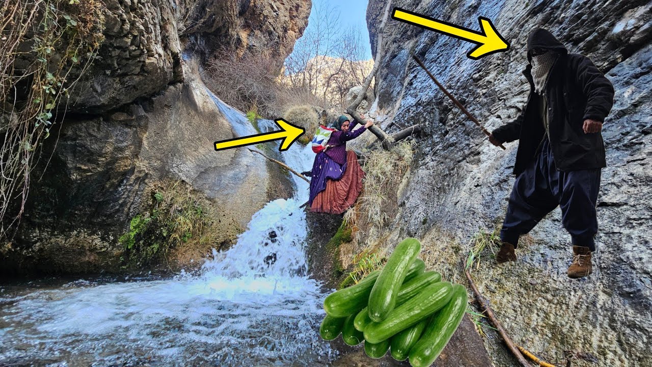 ✨Taban in the wild mountains⛰️, from searching for fruit🥒 to confronting a dangerous bandit🔥😱