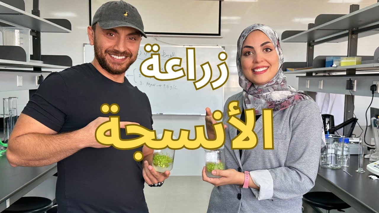 إكثار النباتات بالأنسجة - مرحلة المضاعفة