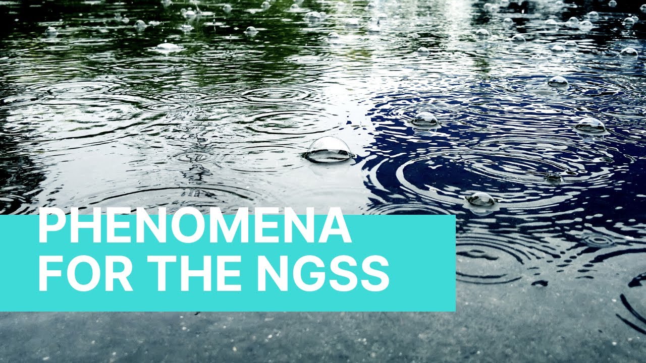 Science Phenomena For Your NGSS Storylines