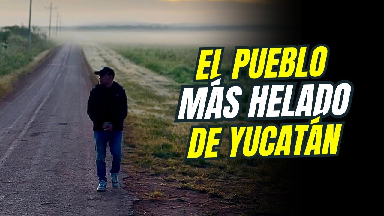 Conoce el 