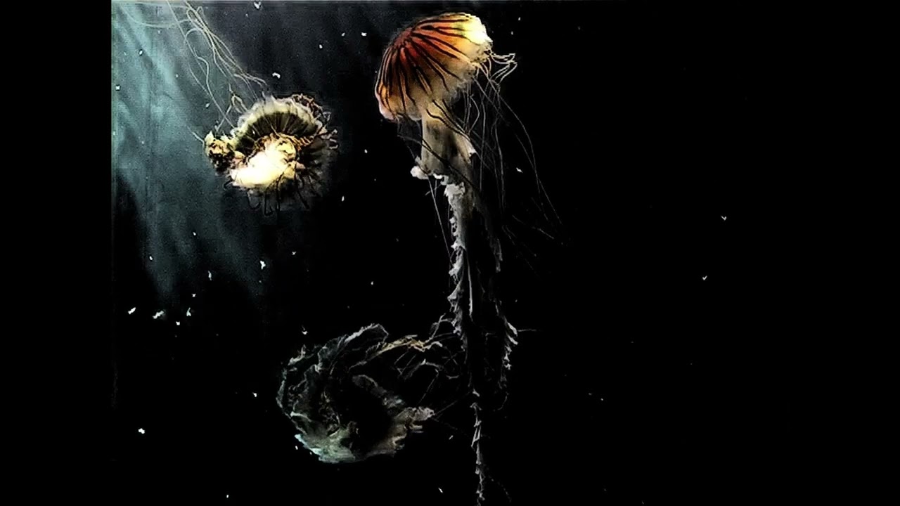 FUTURESLOWDUBDISCO - JELLYFISH DANS