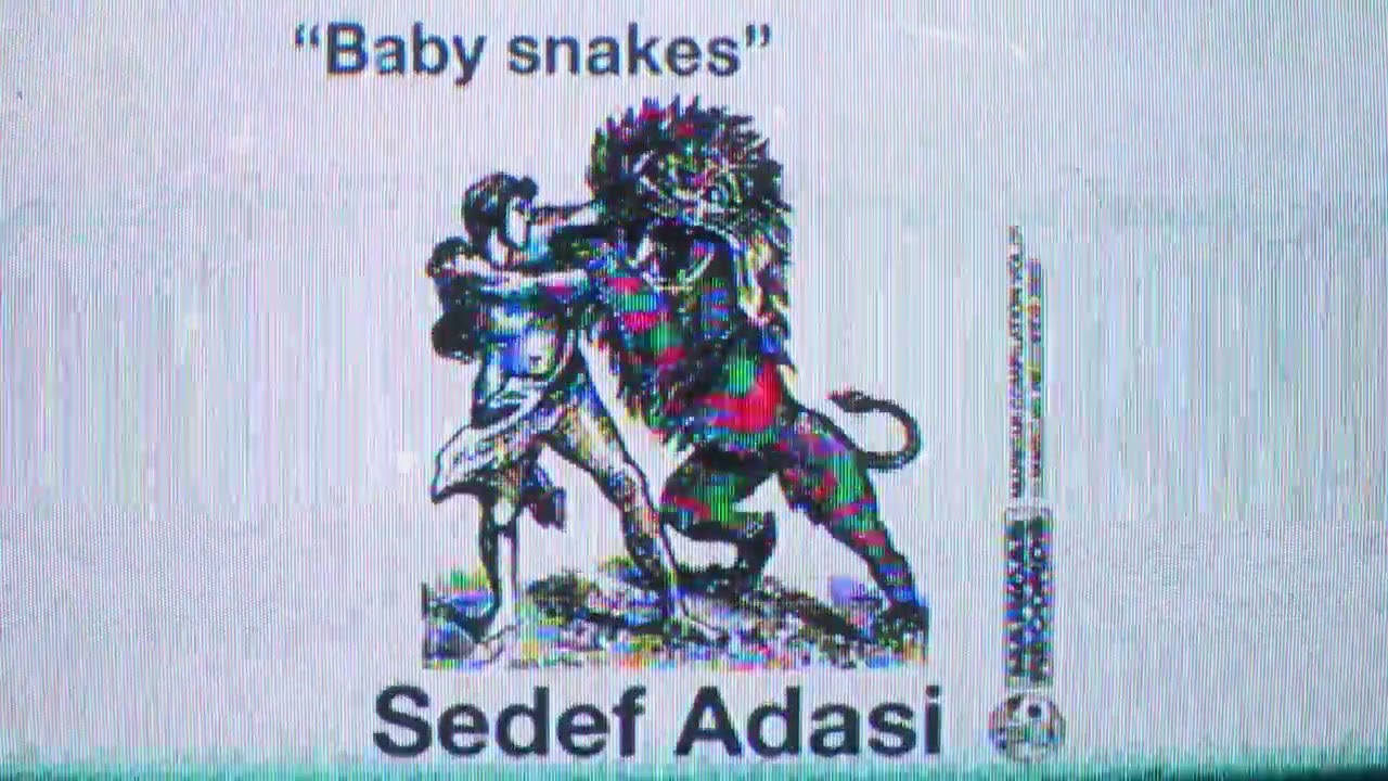Sedef Adasi - Baby Snakes