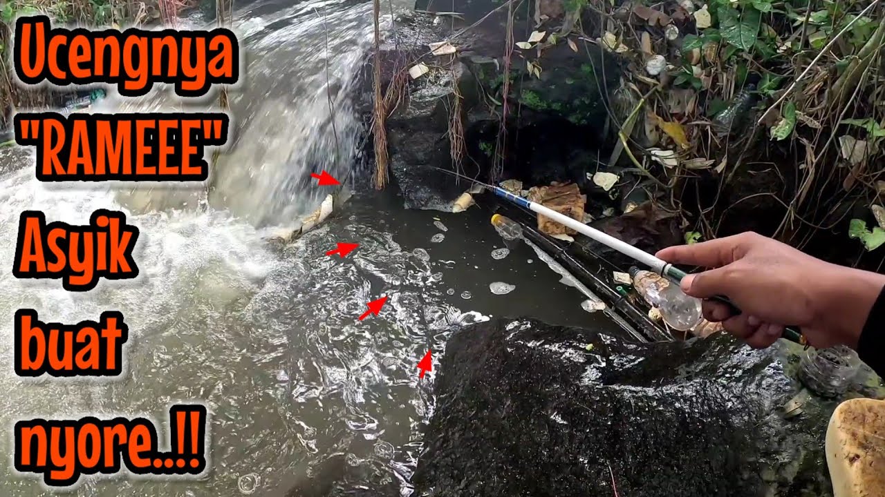 MUMPUNG BISA KITA MANCING UCENG LAGI ‼️SAMBIL NYORE NUNGGU BUKA PUASA