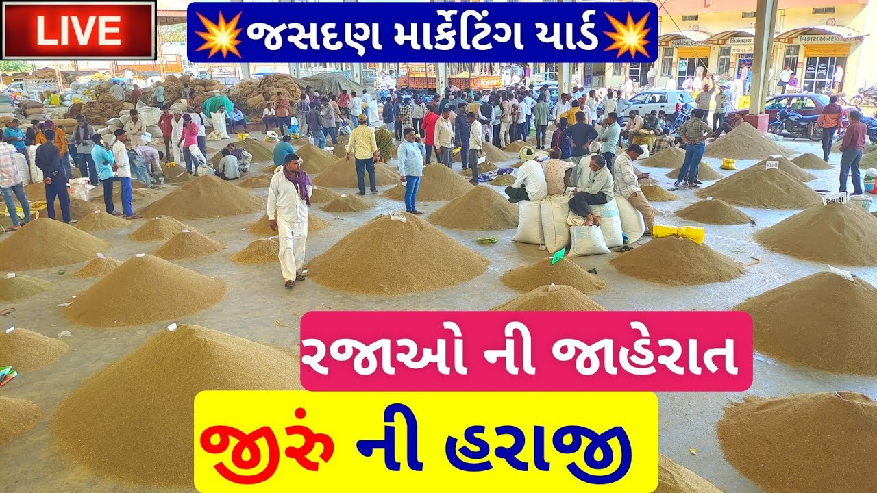 🔴 આજના જીરું ના ભાવ || live jeera price today in jasdan APMC, jeera Na bhav,March 23, 2024