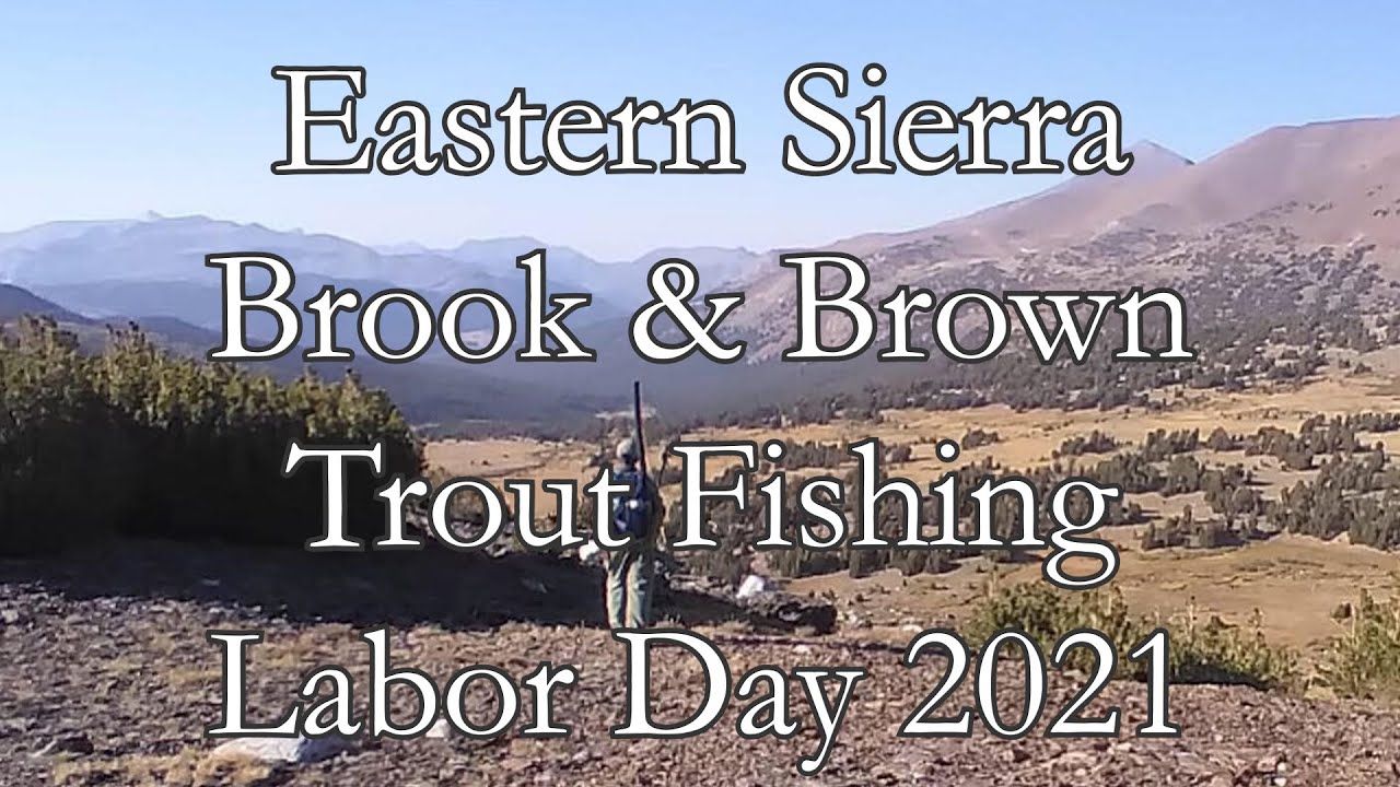 Eastern Sierra Brook and Brown Trout Fishing - Labor Day 2021 Fly Fishing Yosemite