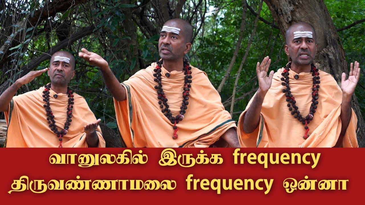 திருவண்ணாமலையில் தேவர்கள் வசம் செய்யகிரார்கள்