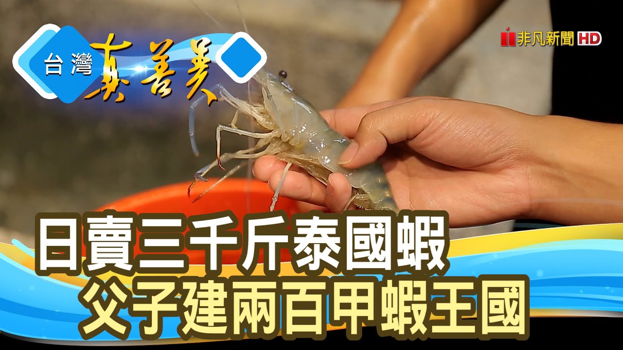 歸零再起“泰國蝦王國”｜黑豬泰國蝦｜【台灣真善美】2020.10.25