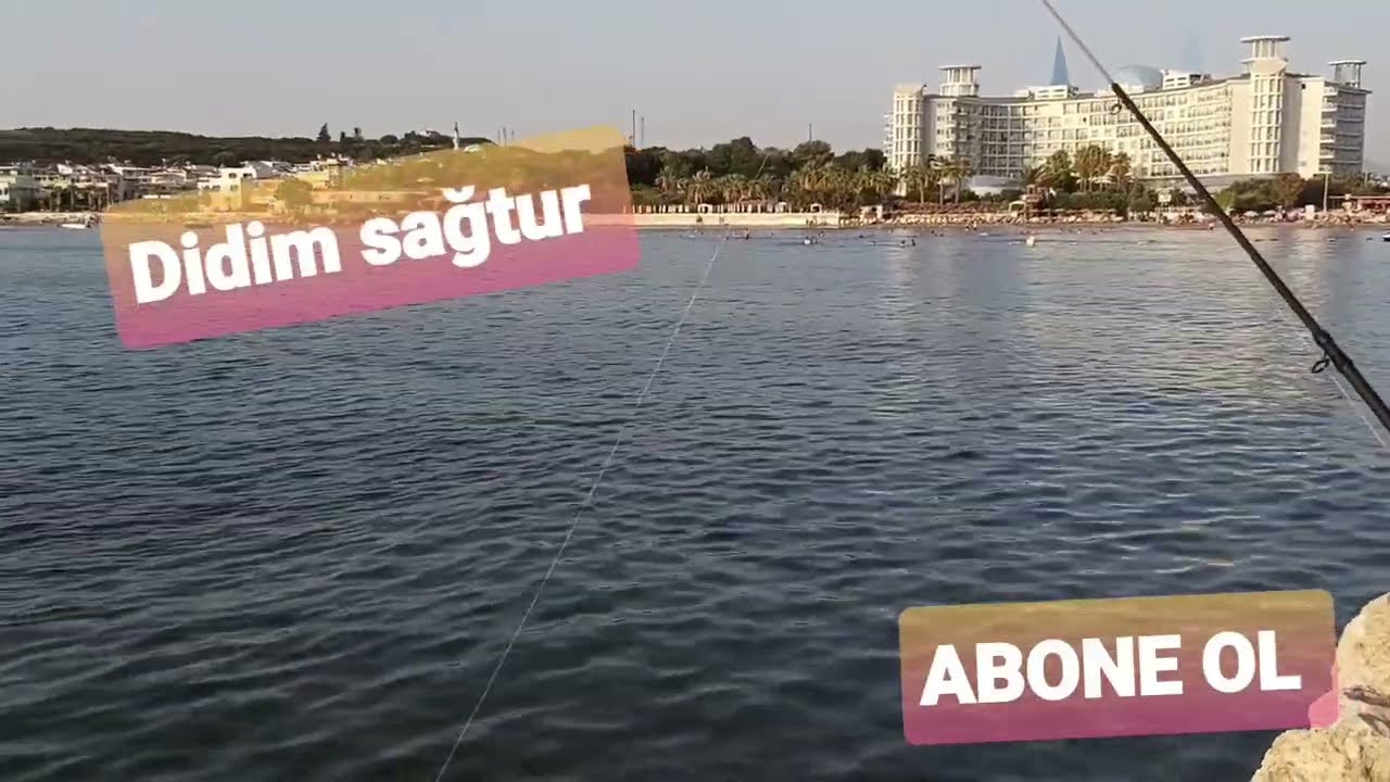 Didim Sağtur #Deniz Balık Kamp Alanı