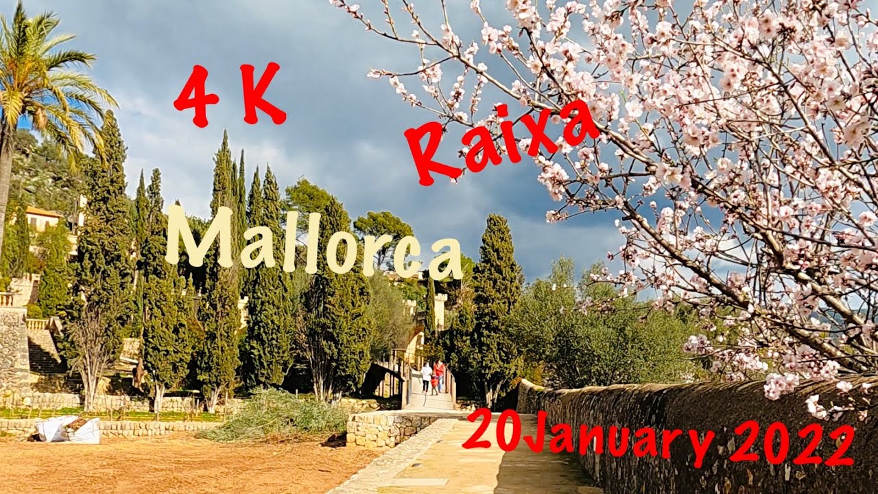 🇪🇸Raixa Mallorca🗓20 January 2022🌤13°C📷4K60
