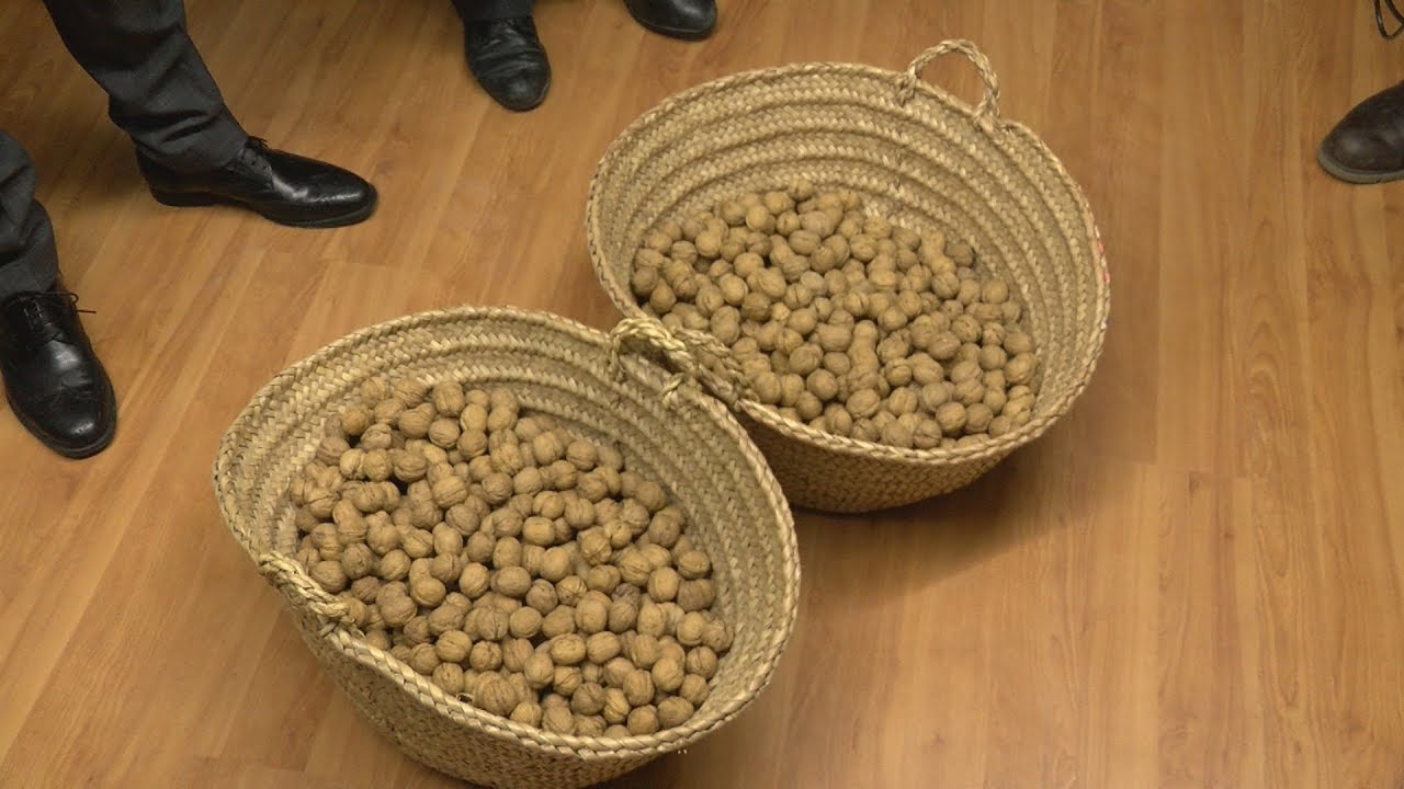 Las nueces 'voladoras', protagonistas un año más en Fustiñana