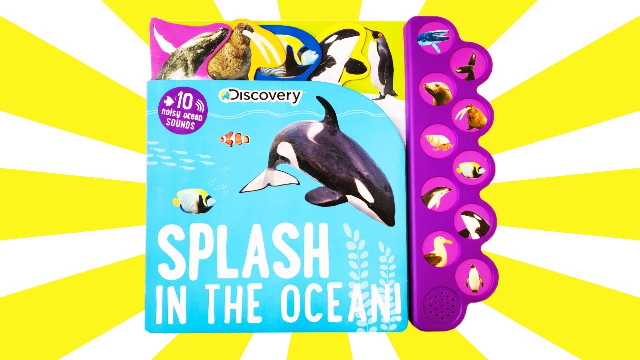 Children's Book「SPLASH IN THE OCEAN!」/ 読み聞かせ絵本「海の中にバシャンッ！」