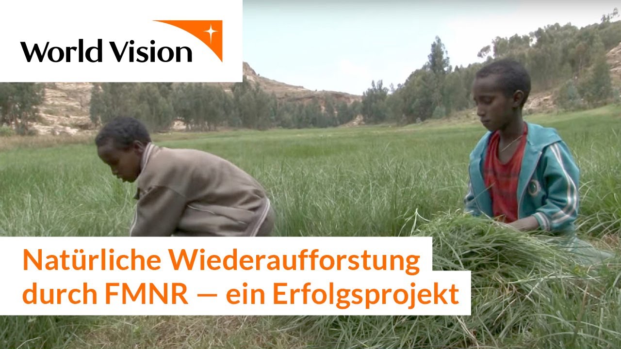 Natürliche Wiederaufforstung durch FMNR - ein Erfolgsprojekt