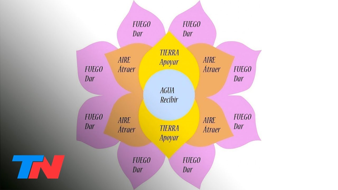 Una estafa disfrazada de feminismo y sororidad: 