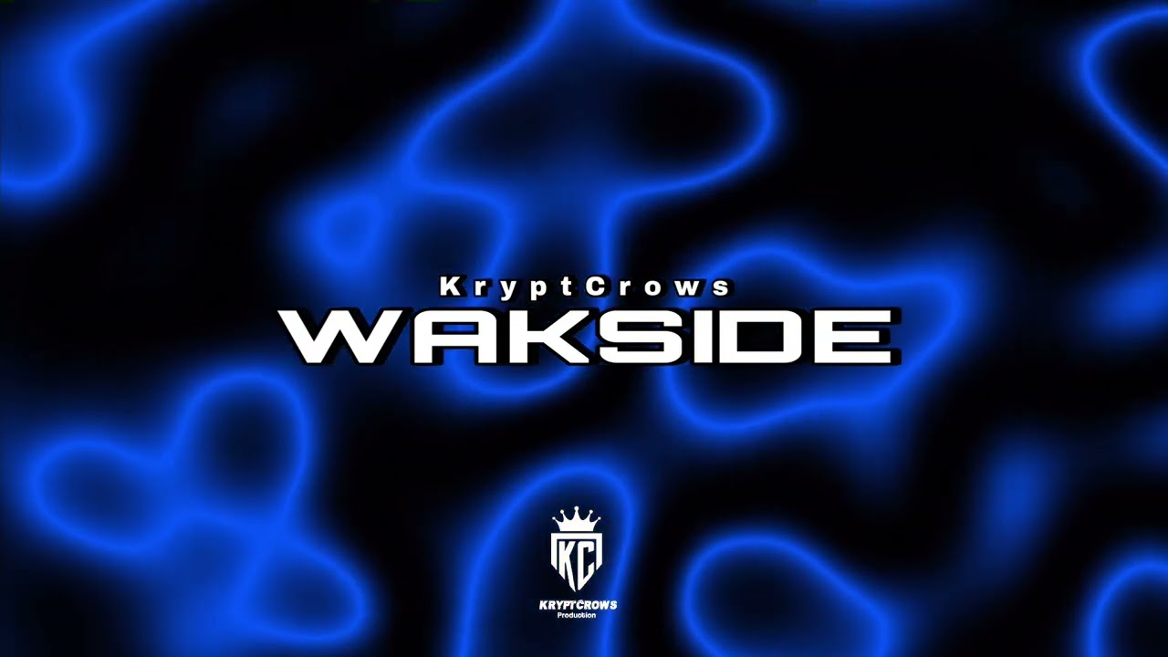 WAKSIDE | AFRO - JUL A COUP DE TASER (2025)
