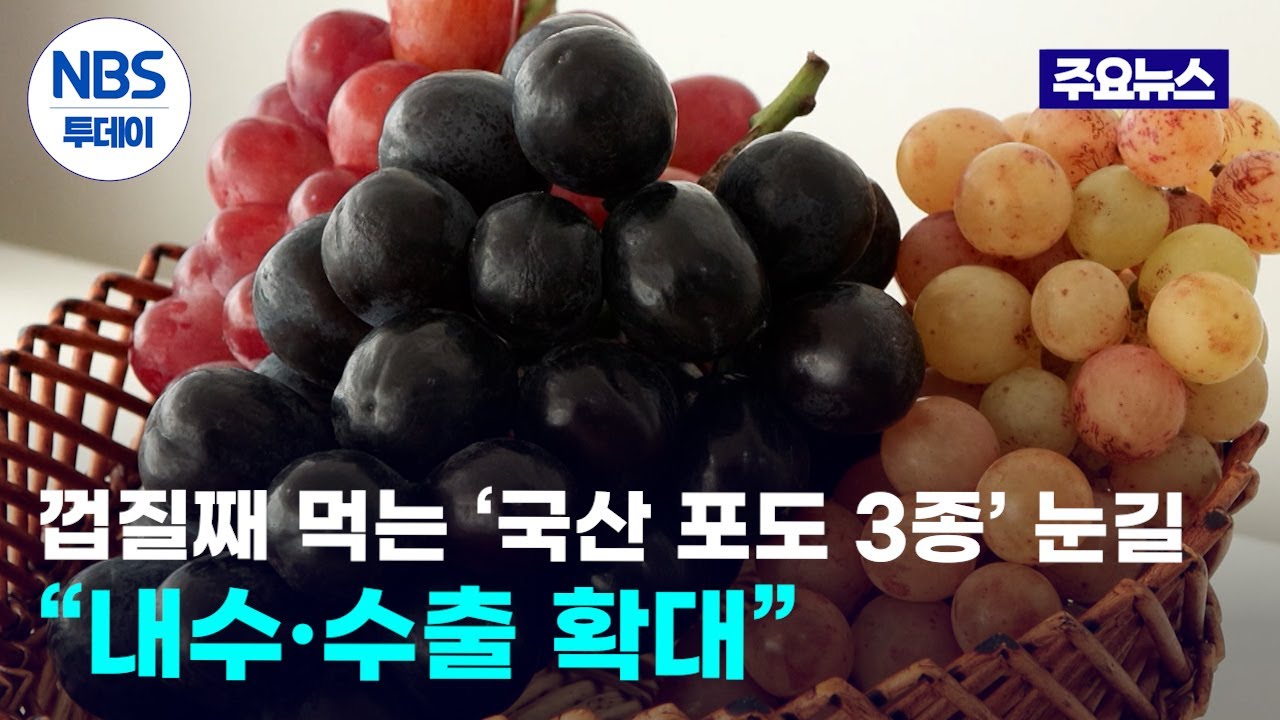 껍질째 먹는 ‘국산 포도 3종’ 눈길…“내수·수출 확대”