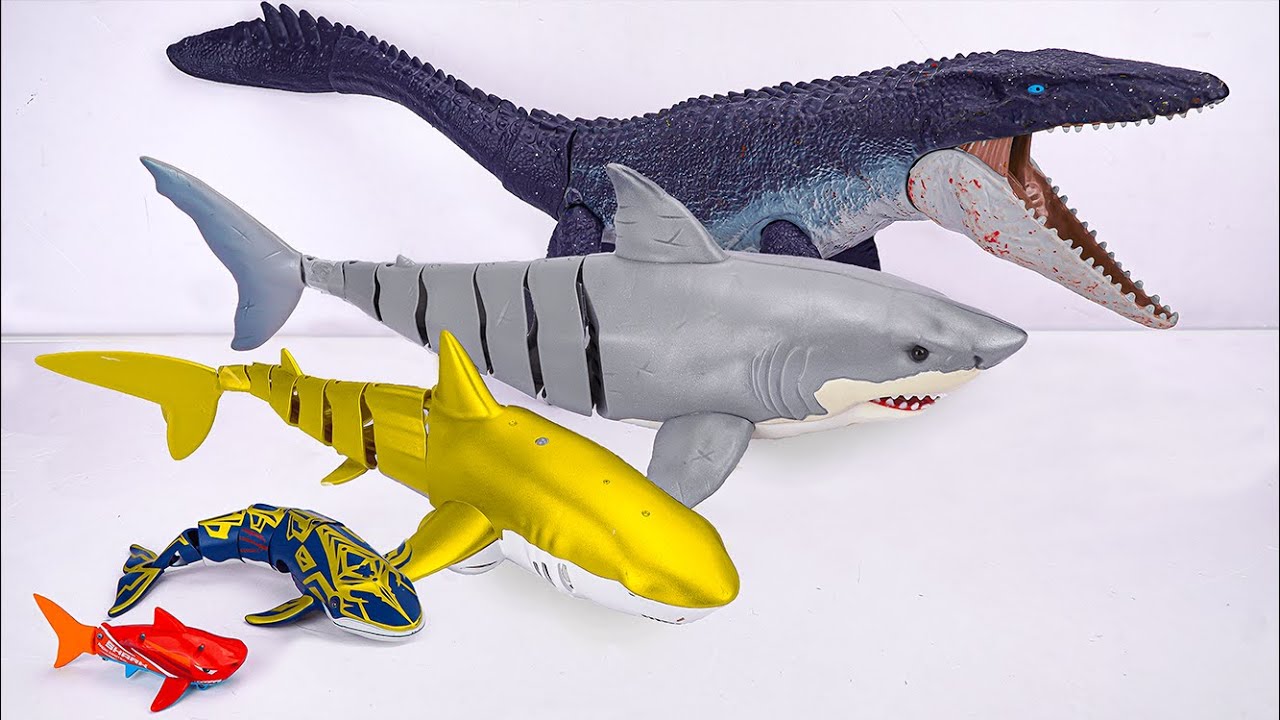 [🦈Toy ASMR] Mosasaurus & Shark Toys Collection | From Mini to Giant | Satisfying Unboxing