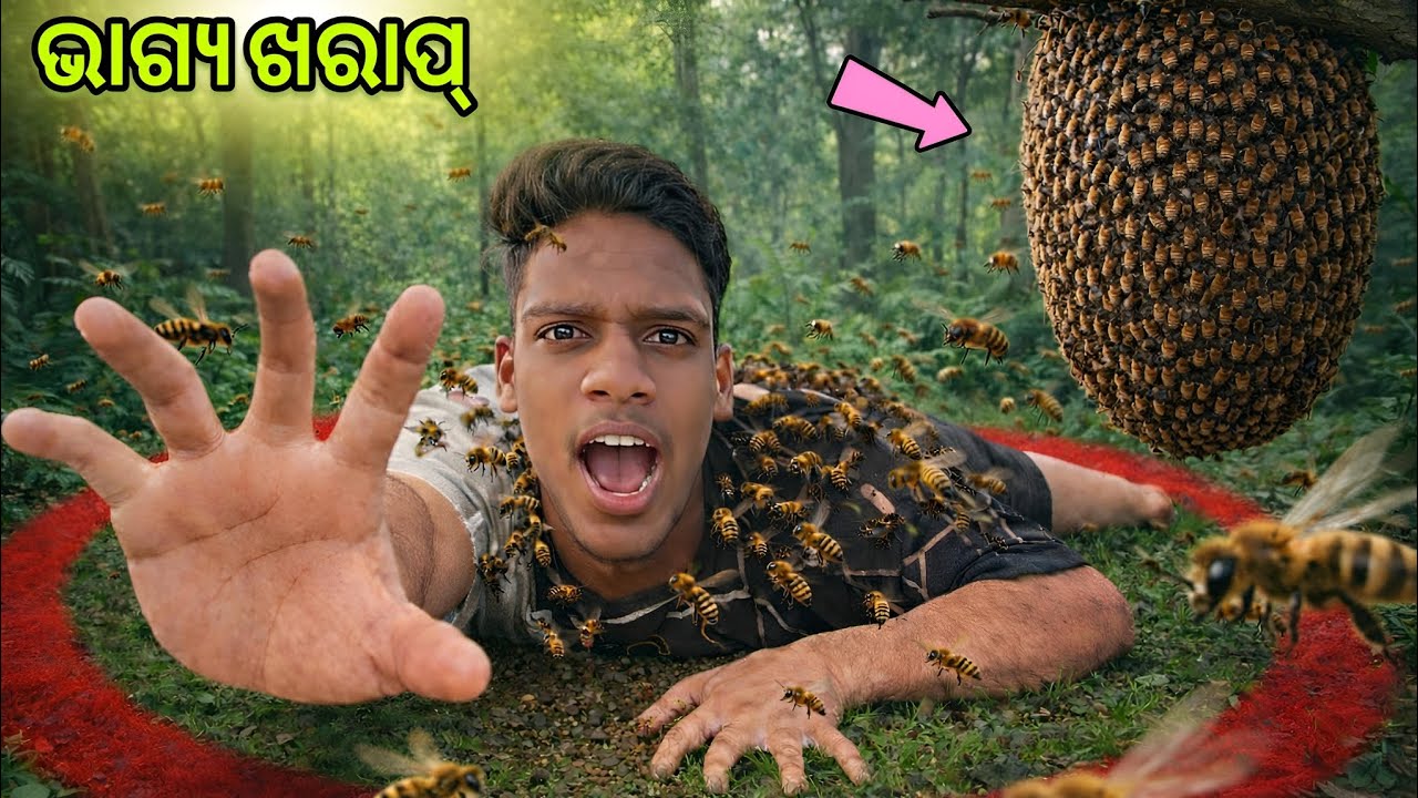 ଭାଗ୍ୟ ଖରାପ୍ 😳 ସମସ୍ତଙ୍କ ମନ ଦୁଃଖ // odia explore vlog 