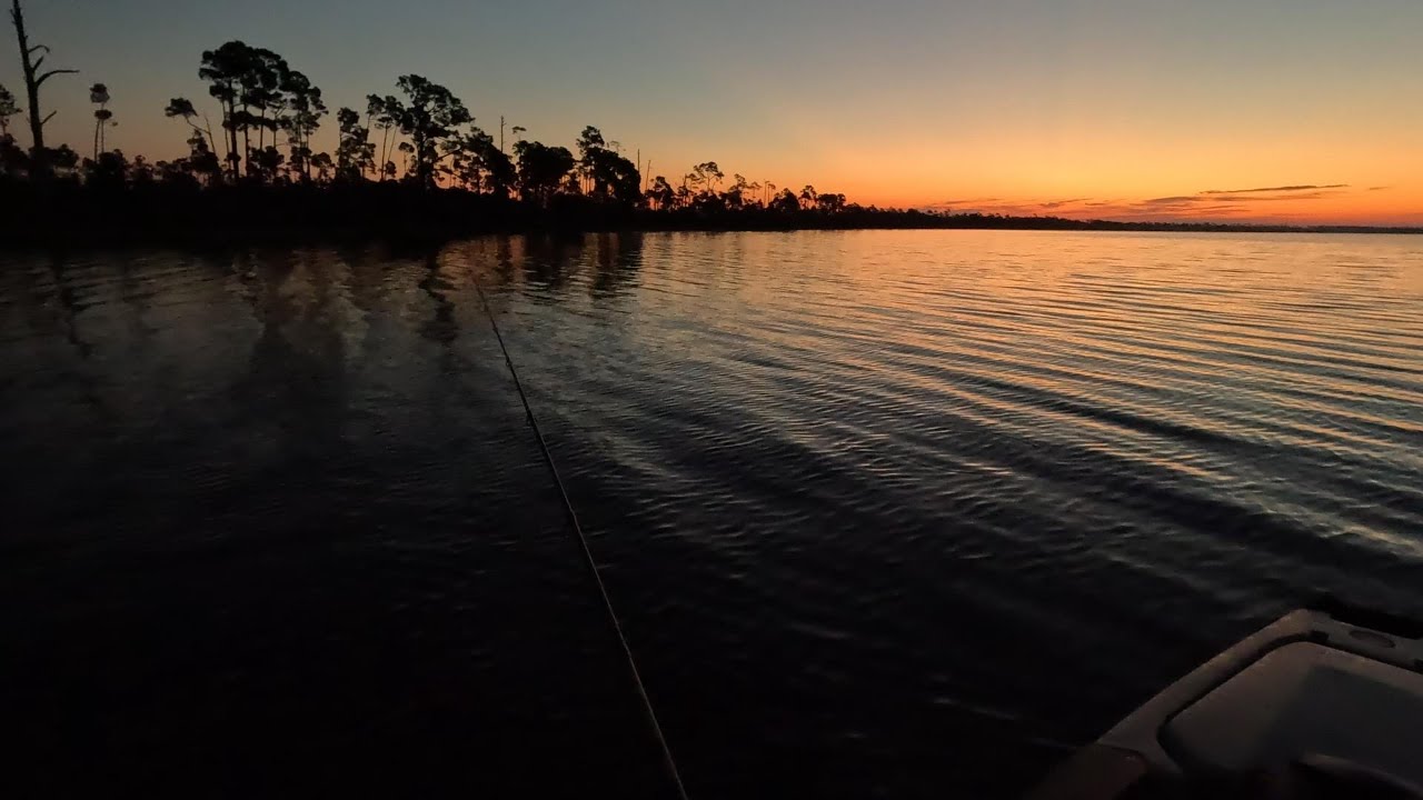 Dolphin Run Off All The BIG Fish