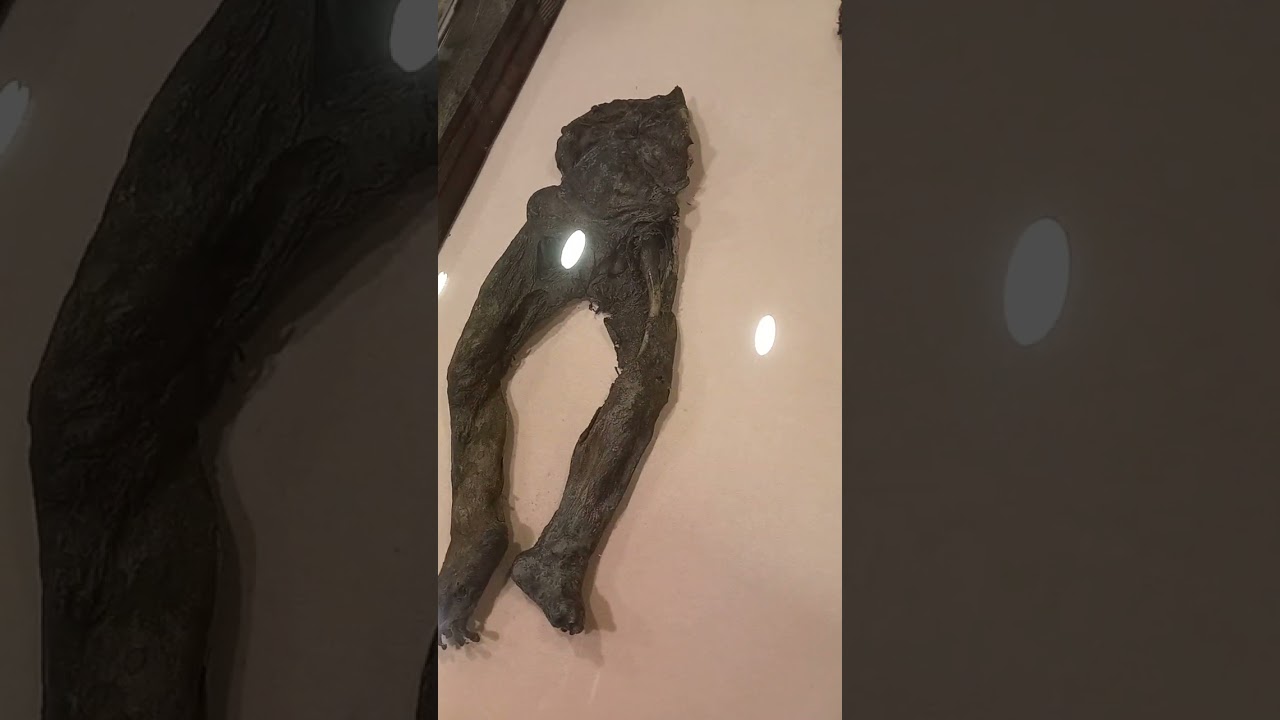Neden Mumyalandılar?,açıklama videoda Amasya Müzesi
