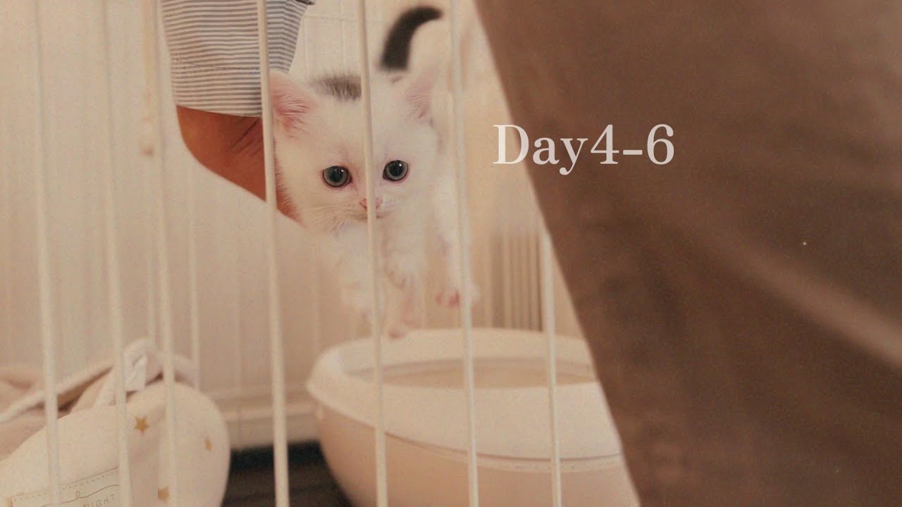 Day4-6
