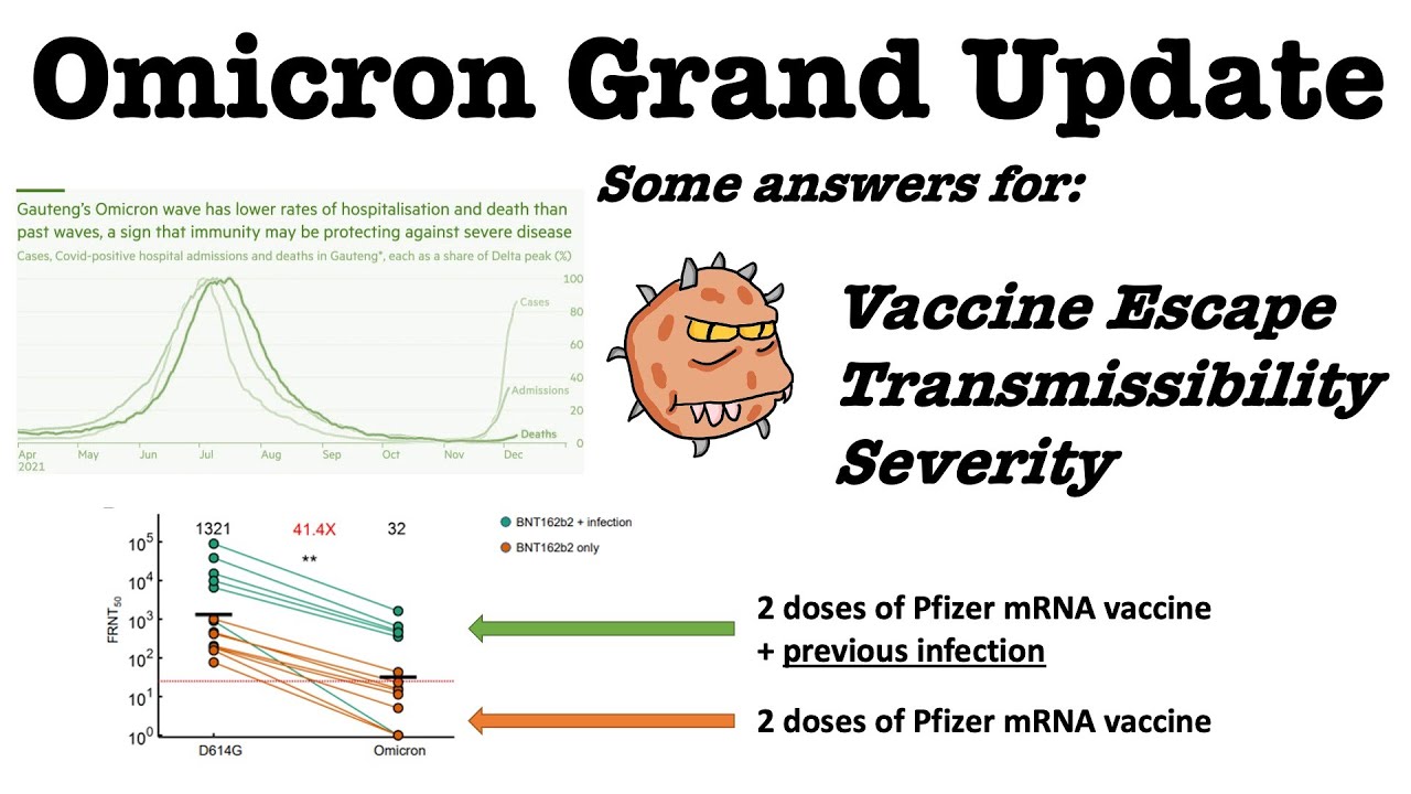 Omicron Grand Update | Vaccine Escape, Transmissibility and Severity | Getting some answers