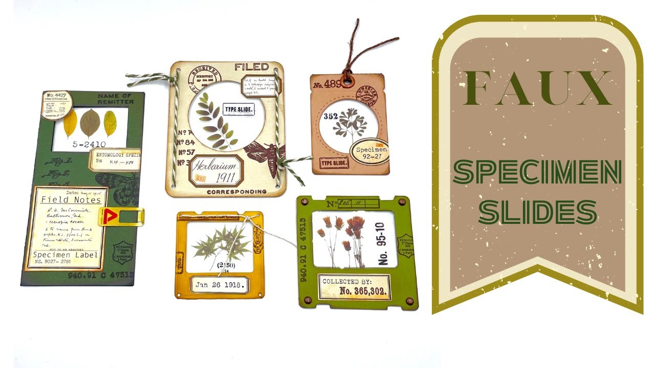 LET'S MAKE - FAUX SPECIMEN SLIDES - JUNKJOURNAL IDEA  #junkjournalideas #papercraft #craftwithme