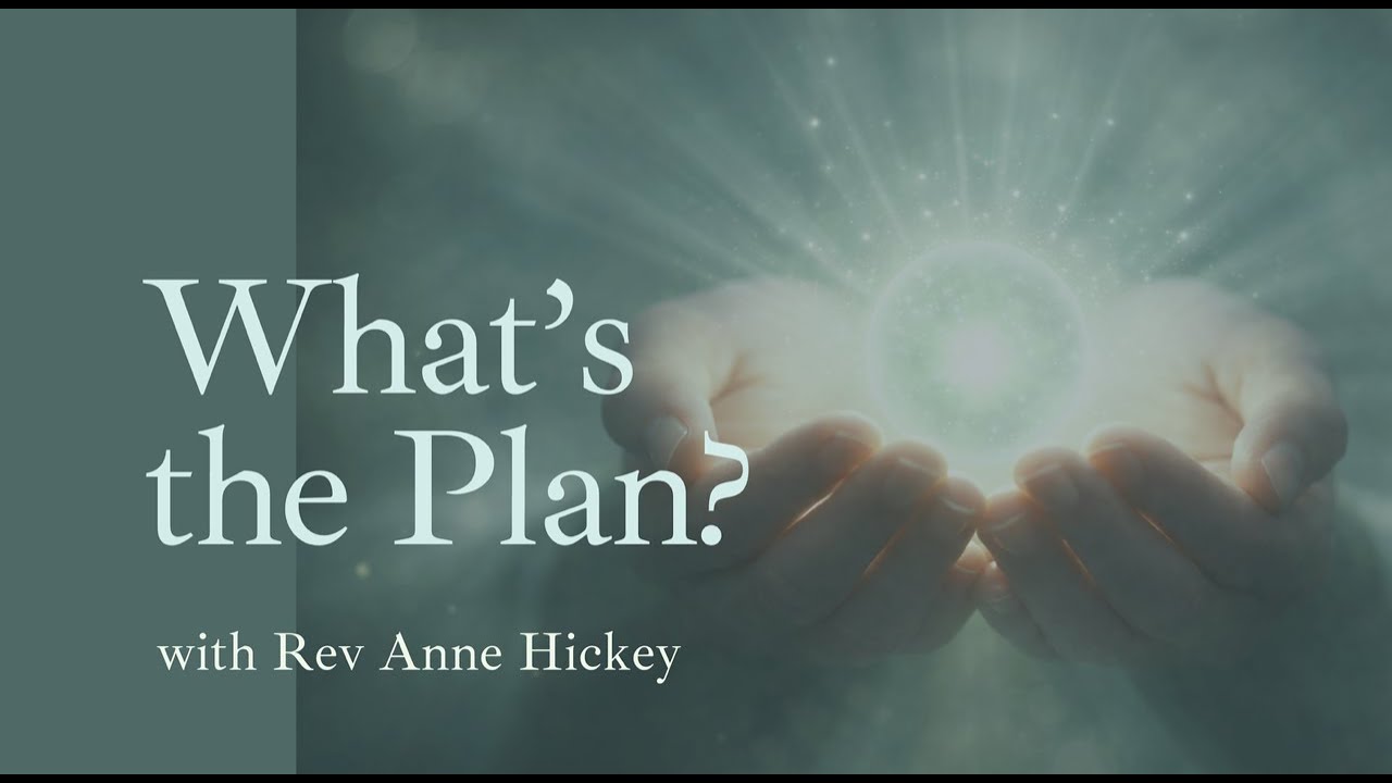 What's the Plan?