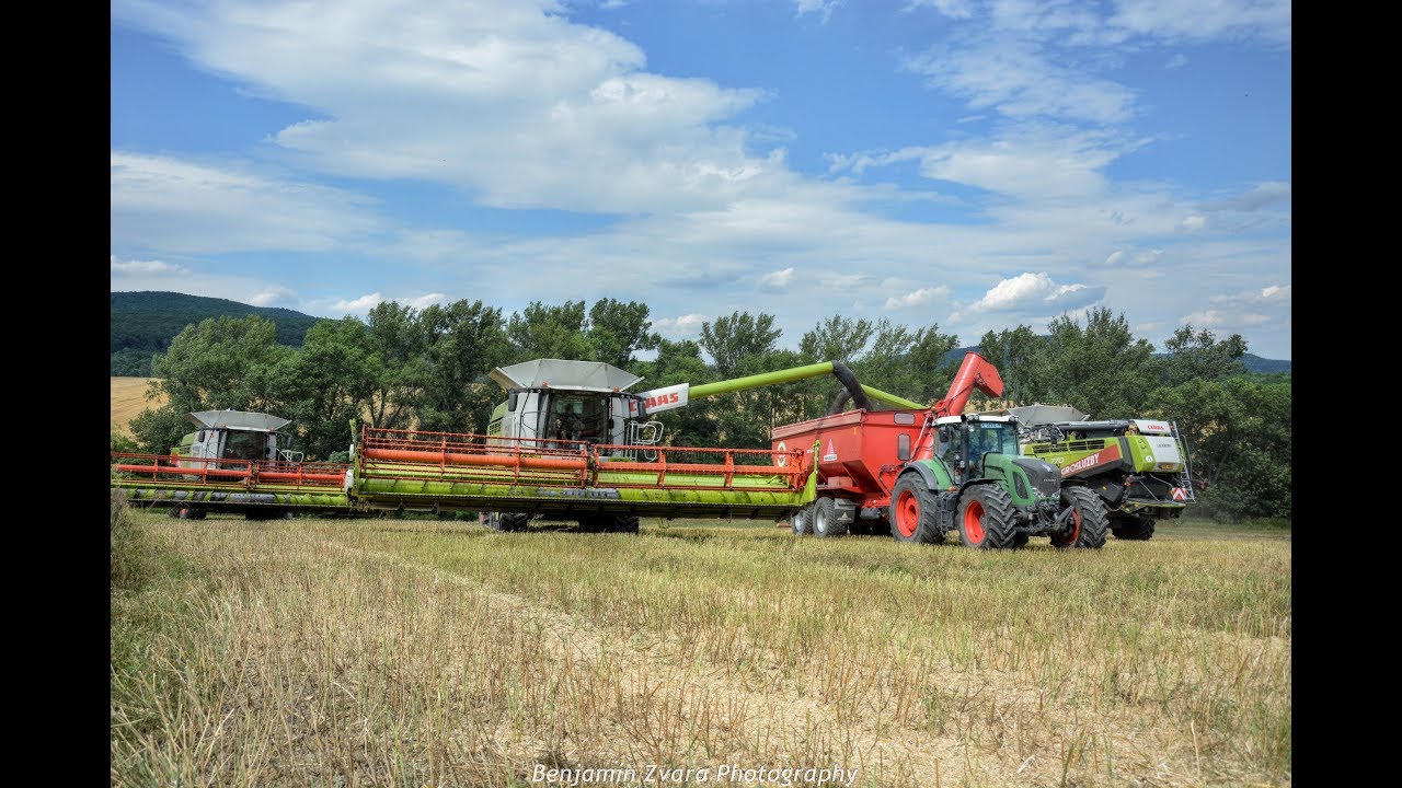 Harvest / Žatva 2019 - 3x Claas Lexion ( 2x 770 , 770TT ) - Martin Ležák Agroslužby