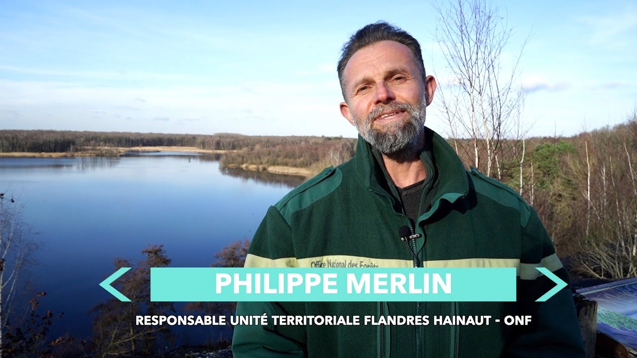 [J’❤️ La Porte du Hainaut] Mare à Goriaux à Raismes et Trouée d'Arenberg à Wallers