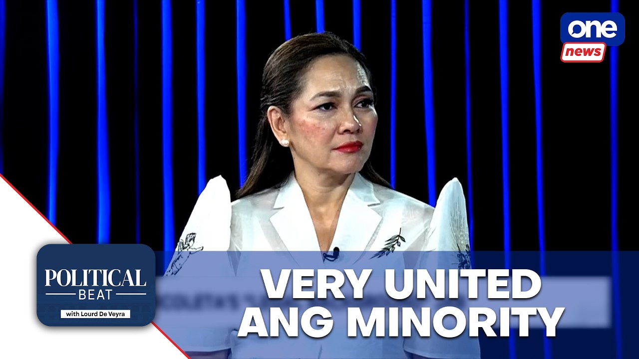 Senate minority maintains strong unity amid tensions &mdash; Hontiveros | Political Beat