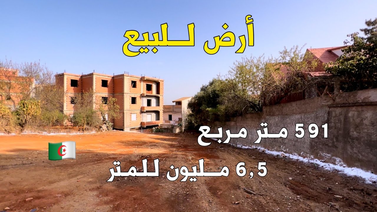 قطعة ارض للبيع 🚨 في سحاولة الجزائر 🇩🇿 سعر المتر مربع 6,5 مليون | للمهتمين 0770386132 | 0551412025