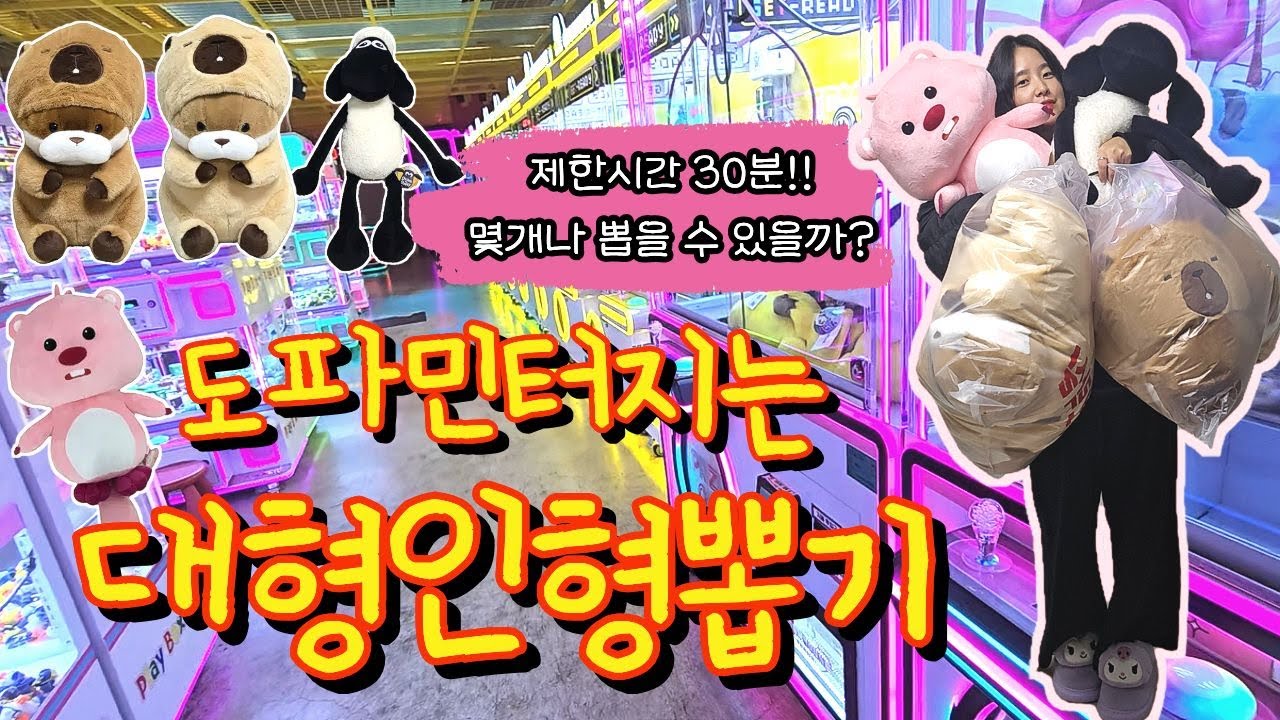 대형인형 뽑기신 내린 날 30분동안 몇개나 뽑을 수 있을까? 역대급 셋팅미스? #인형뽑기#대형인형뽑기꿀팁#짱오락실